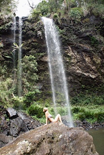Springbrook National Park Springbrook National Park