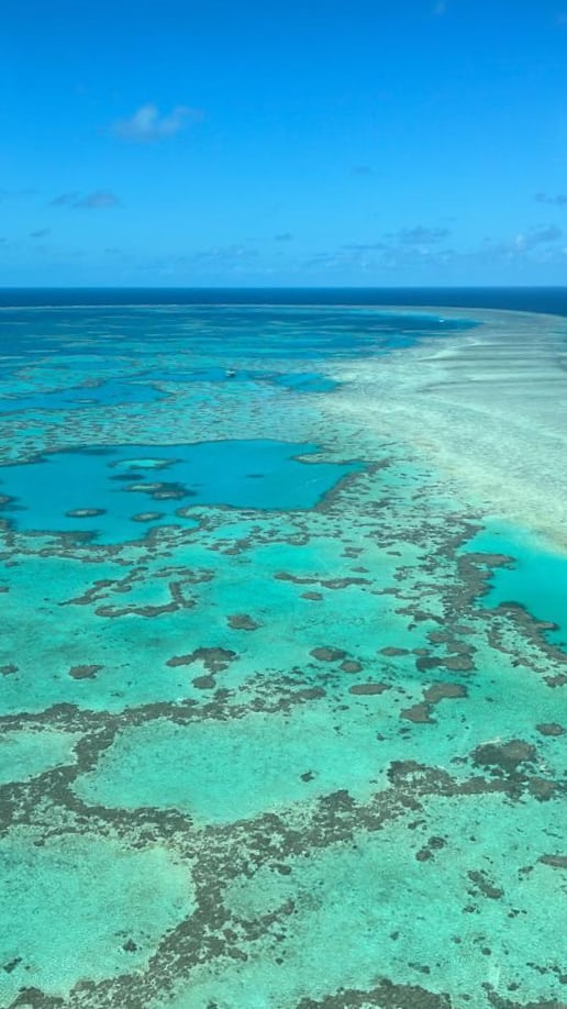 Grear Barrier Reef Grear Barrier Reef