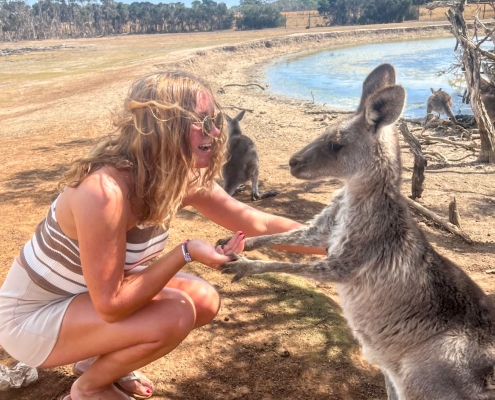 Shaking hands making friends