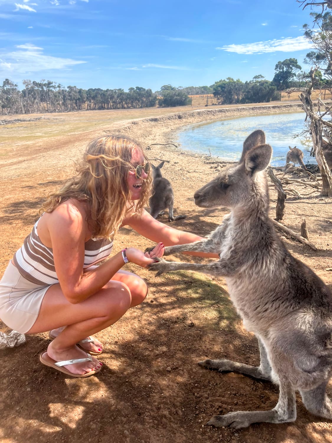 Shaking hands making friends