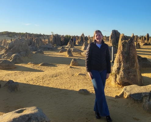 Pinnacles, Western Australia Pinnacles, Western Australia